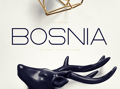 Bosnia - Sans Serif font | 2 styles elegant fonts font font design font family fonts fonts collection letter lettering letts modern fonts sans serif sans serif design sans serif font sans serif fonts sans serif typeface serif font serif fonts type typeface typography