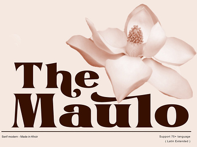 The Maulo - Serif Font branding calligraphy calligraphy fonts design elegant fonts font design fonts fonts collection lettering logo logo fonts modern calligraphy professional retro fonts sans serif sans serif font serif serif font serif fonts vintage fonts