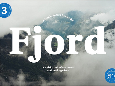 Fjord - Soft Fat Serif Font bold branding design elegant fonts font design fonts collection lettering modern fonts sans serif sans serif font sans serif fonts sans serif typeface serif serif font serif fonts serif typeface soft fat typeface web design website