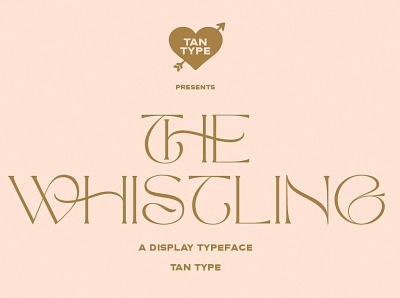 The Whistling - Display Typeface branding calligraphy classy fonts design display display font display typeface elegant fonts font font design fonts fonts collection minimal modern modern calligraphy professional sans serif serif font serif fonts typeface