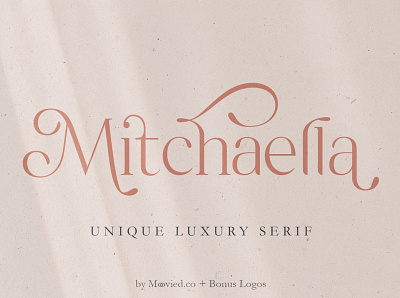 Mitchaella + Bonus branding calligraphy clean design elegant font elegant fonts font font awesome font design font family fonts fonts collection lettering luxury font modern calligraphy modern fonts sans serif serif font serif fonts simple