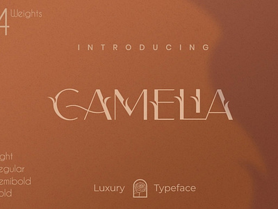 Camelia Sans - Unique Typeface branding calligraphy calligraphy font design elegant lettering logo minimal modern modern calligraphy professional sans sans font sans serif sans serif font serif serif font typeface typography unique