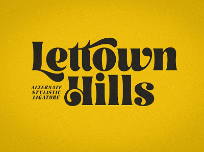 Lettown Hills - Stylish Font advertising branding calligraphy calligraphy font design font design fonts collection logo logos modern calligraphy poster retro retro fonts sans serif serif fonts stylish stylish font t shirt vintage vintage font