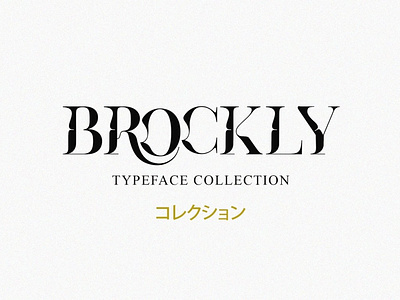 Brockly Display branding calligraphy calligraphy fonts design display display font display type display typography elegant fonts font font design fonts fonts collection lettering logo sans serif serif font serif fonts typeface typography