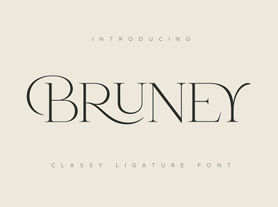 Bruney - Classy Ligature Font branding calligraphy calligraphy fonts classy classy font classy fonts design elegant fonts font design fonts collection lettering ligature ligature font modern calligraphy modern fonts professional sans serif sans serif font serif font serif fonts