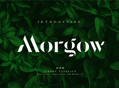 Morgow Luxury Typeface alphabet bold calligraphy elegant elegant fonts fashion font font awesome font design fonts fonts collection hand lettering logo luxury modern newspaper sample typeface web font