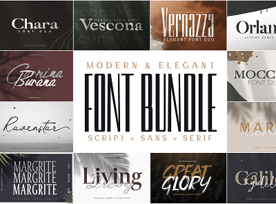 Modern & Elegant Font Bundle branding collection design elegant elegant font elegant fonts font awesome font bundle font design font duo font family fonts collection lettering modern modern font modern fonts sans serif sans serif font serif font serif fonts