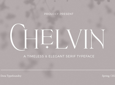 Chelvin Serif alternative branding design elegant fonts font font design font family fonts collection ligature multilingual sans serif sans serif font serif serif font serif fonts serif lettering simple stylish support unique