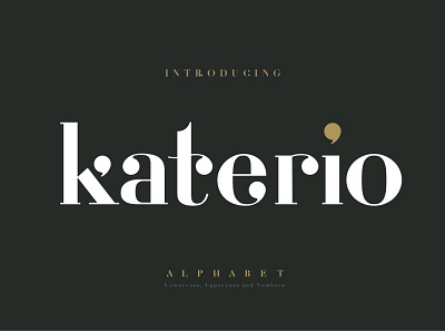 Katerio - Elegant font alphabet alphabet font alphabets calligraphy classic design elegant font fashion fashion font font font design fonts fonts collection lettering logo luxury minimal modern calligraphy serif fonts website