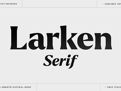 Larken Serif Font branding design elegant elegant fonts font design fonts collection lettering logo modern modern fonts professional sans serif sans serif font serif serif font serif fonts simple template typeface typography