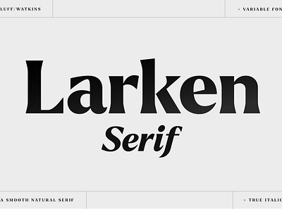 Larken Serif Font branding design elegant elegant fonts font design fonts collection lettering logo modern modern fonts professional sans serif sans serif font serif serif font serif fonts simple template typeface typography