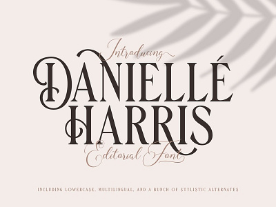 Danielle Harris - Editorial Font calligraphy fonts display display font display fonts display type editorial fonts elegant fonts font design fonts collection lettering fonts logo font logo fonts modern fonts ornaments sans serif sans serif font serif serif font serif fonts vintage fonts