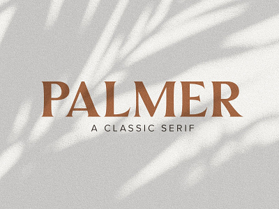Palmer | A Classic Serif