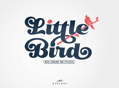 Little Bird Display Script design display font display fonts elegant fonts font design fonts collection hand drawn logo old label retro retro fonts sans serif script script font script fonts serif serif font serif fonts vintage vintage logo