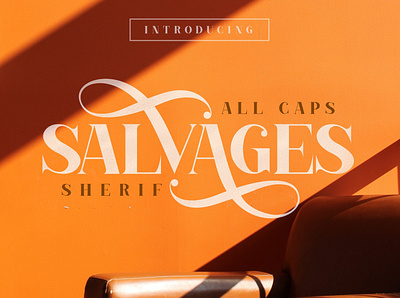 Salvages Bold | Serif Font black black friday bold bold font bold fonts bold typeface branding curve design friday luxury perfect professional sans serf typeface sans serif sans serif font sans serif fonts serif font serif fonts trending