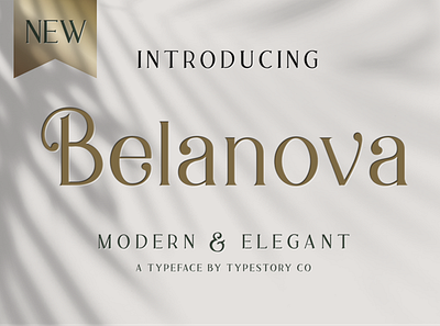 Belanova - Modern Serif Font brand design elegant elegant font elegant fonts elegant typeface font font design fonts fonts collection logo logo fonts modern modern typeface sans serif sans serif font sans serif typeface serif serif font serif fonts