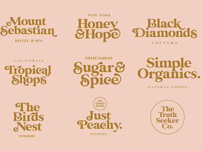 Glamour Absolute Modern/Vintage Font absolute branding elegant fonts font font design fonts fonts collection glamour lettering logo modern sans serif sans serif font sans serif fonts serif font serif fonts serif typeface typeface typography vintage