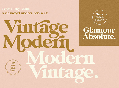 Glamour Absolute Modern/Vintage Font absolute branding elegant fonts font font design fonts collection glamour lettering logo fonts magazine modern modern logo retro retro fonts sans serif sans serif fonts serif fonts serif typeface vintage vintage fonts