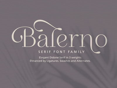 Balerno Serif Family beautiful branding creative elegant lettering logo luxury minimal modern professional serif serif font serif fonts serif typeface simple stylish trending trendy typeface typography