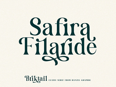 Briktail//Modern Serif Font branding design elegant fonts font design fonts collection lettering fonts modern modern font modern fonts modern serif font modern typeface sans serif sans serif font sans serif fonts sans serif typeface serif serif font serif fonts serif typeface typography