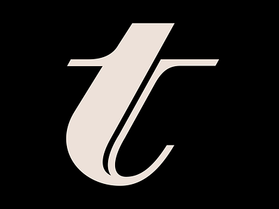Letter T glyph letter letterform logo type typography typography design vector