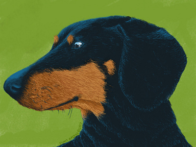 An Ode to Buzz blue bright buzz color dachshund dog highlight hotdog paint