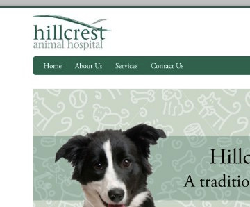 A new website... dog green hillcrest