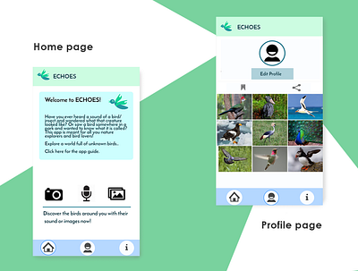 Echoes bird app app buttons design icon illustration interactive interface navigation ui ux web