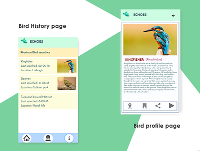 Echoes- Bird app app branding buttons design illustration interactive interface navigation ui ui ux ux