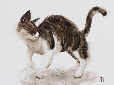Surprise (Watercolor) cat cat painting cat portrait fineart illustration painting watercolor watercolor painting