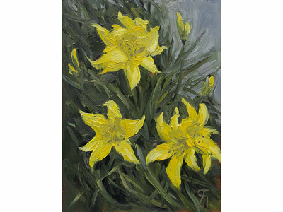 Golden stars (Oil) alla prima daylilies fineart floral illustration oil painting