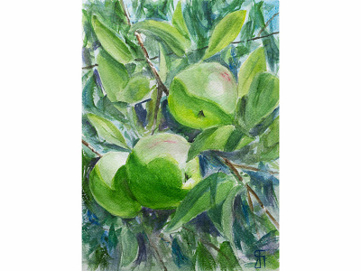 Branch of abundance (Watercolor) abundance apples branch fineart green illustration impressionist painting stilllife summer tree watercolor watercolor painting
