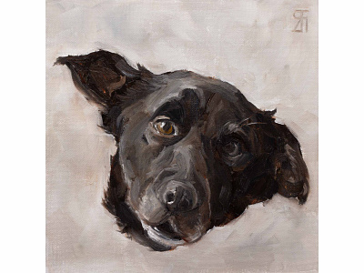 Circle of care (Oil) alla prima animal portrait dog dog portrait fineart illustration oil painting painting portrait realism