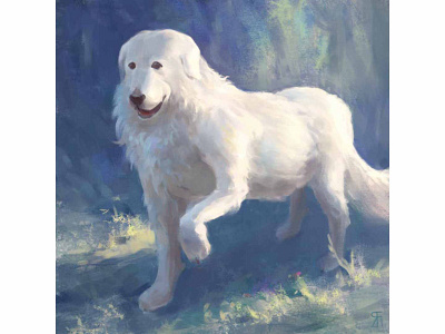 White guardian (Digital) animal portrait digital painting dog portrait fineart great pyrenees illustration impressionist painting white dog