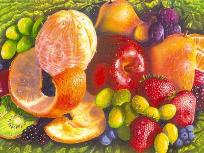 Fruit Illustration illustration