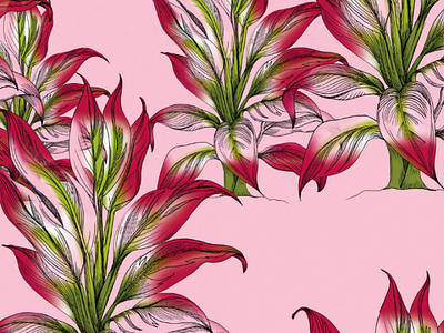 Croton croton fashion flower pattern patterns pink plant surface design surface pattern textile design textile pattern tropical