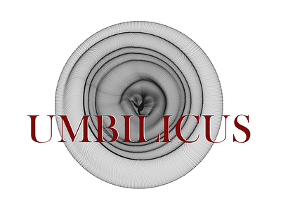 Umbilicus abstract design branding creative coding design generative art logo typography