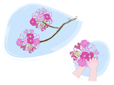 Rosy trumpet adobe illustrator bouquet flower hand illustration kid rosy trumpet