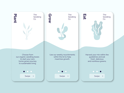 Daily UI - 023 Onboarding 023 app daily 100 challenge daily ui daily ui 023 dailyui dailyui 023 dailyui023 dailyuichallenge design minimal minimalistic onboarding plant process ui