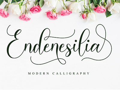 Endenesilia Script beautiful font blogger font calligraphy custom font elegant font fashion font feminine font font for logos handmade handwritten font heart font heart swashes instagram font logo font lovely font modern calligraphy modern font romantic font script trendy font