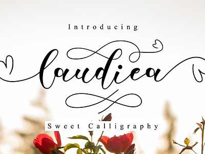 Laudiea Script app branding calligraphy design elegant font girly illustration lettering logo modern natural script sweet typography ui web