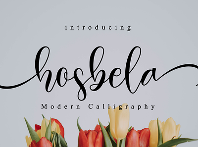 Hosbela Script app branding calligraphy elegant font girly lettering logo modern natural script sweet
