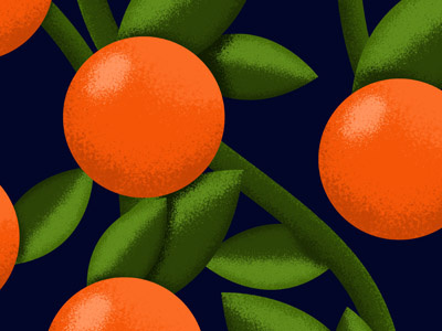 Fruit Pattern Exploratiion fruit icon iconic illustration illustrator leaves orange pattern texture vect