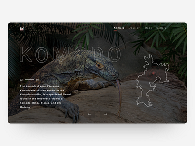 National Park animals black homepage journal minimalist national geographic nature travel ui uiux ux web website website concept website design