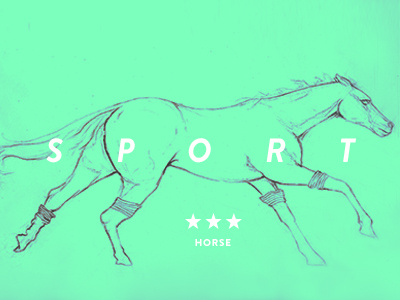 Sport Horse icons illustration