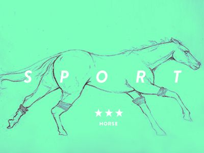 Sport horse1