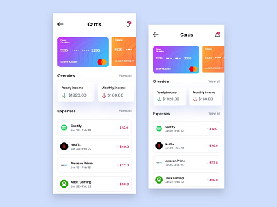 Expenses Page Interface Design