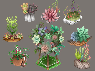 Succulents Dribb