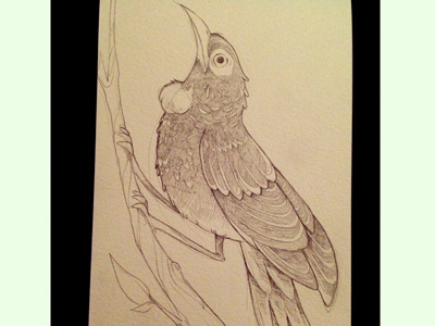 Tui Dribb bird character design doodle sketch a day tui