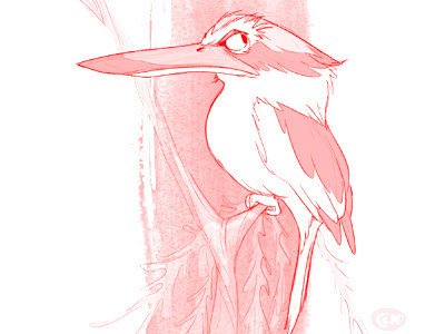 Kingsiher Dribb bird character design doodle kingfisher sketch a day